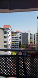 Blk 37 Circuit Road (Geylang), HDB 3 Rooms #208582481